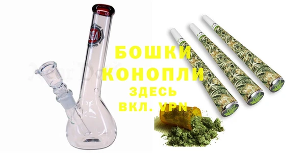 твердый Дмитриев
