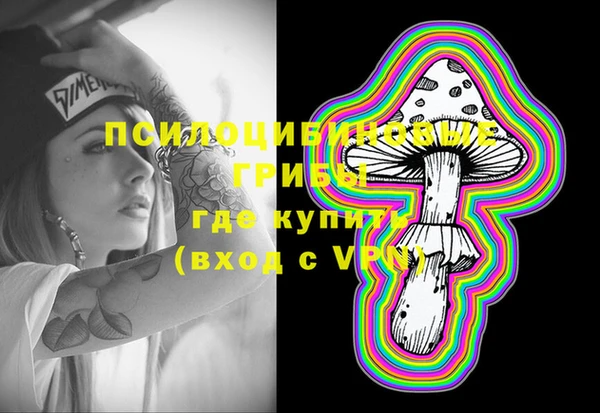 спиды Алексин