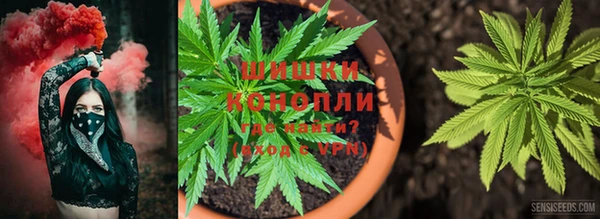 гидра Алзамай